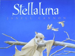 Stellaluna