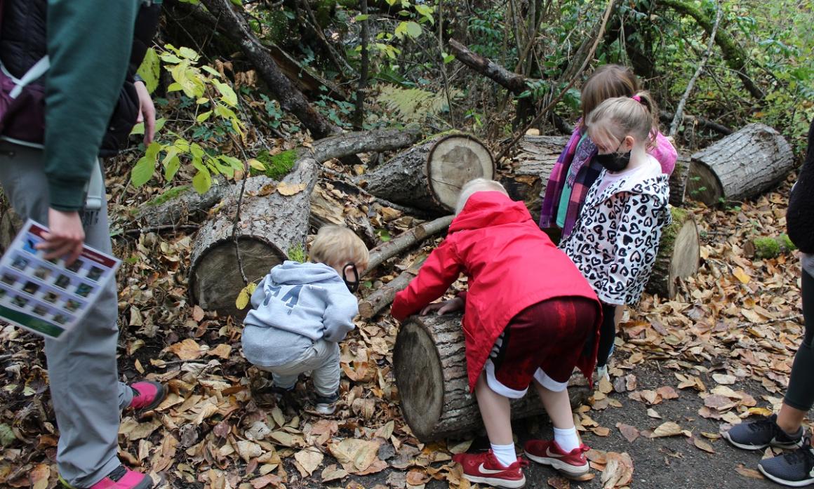 Kids inspect a log pile at Tacoma Nature Center family nature walk private guided experience