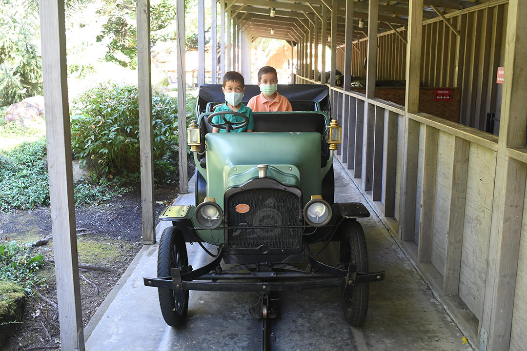 The author's two sons enjoy a ride in an antique car
