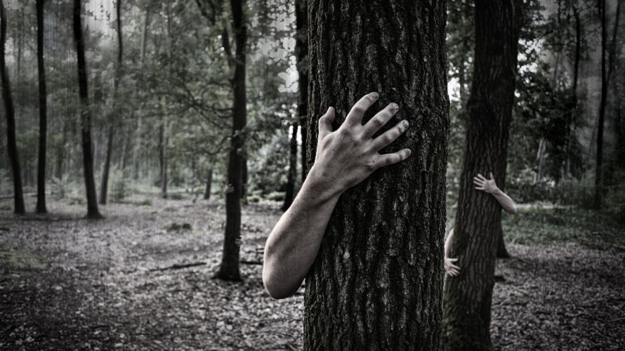 creepy-hands-on-trees