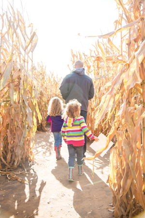dad and daughters in corn maze