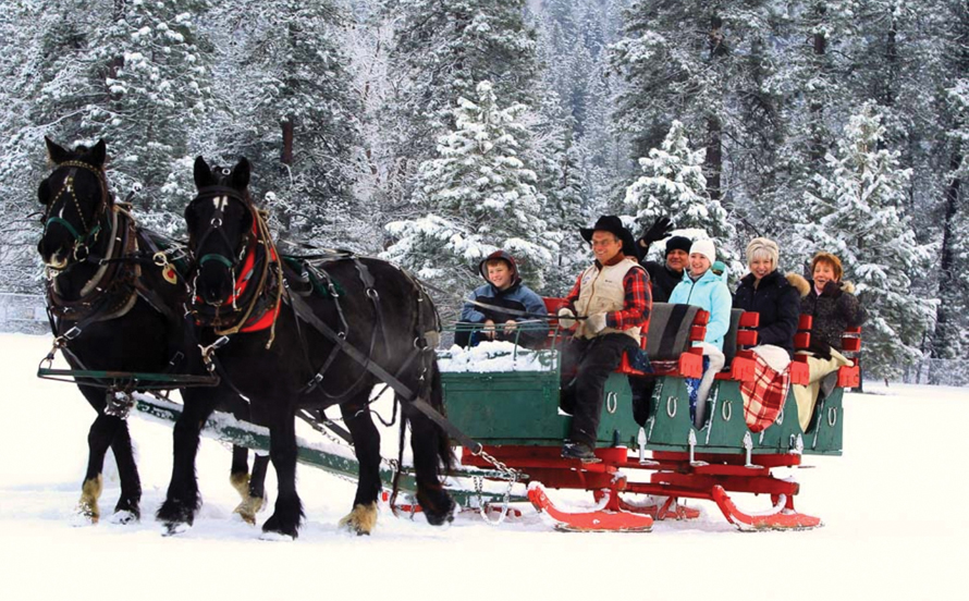horse carriage with family