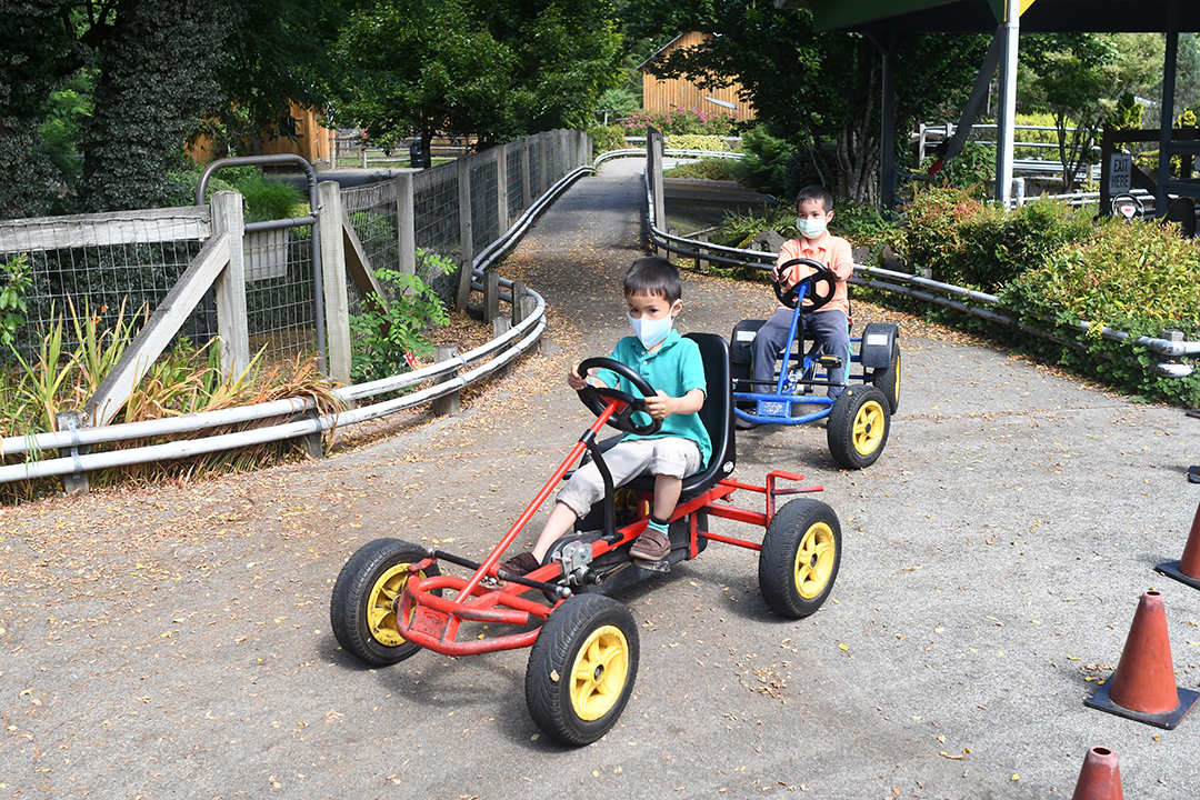 Two brothers ride pedal cars at Remlinger Farms' Family Fun Park