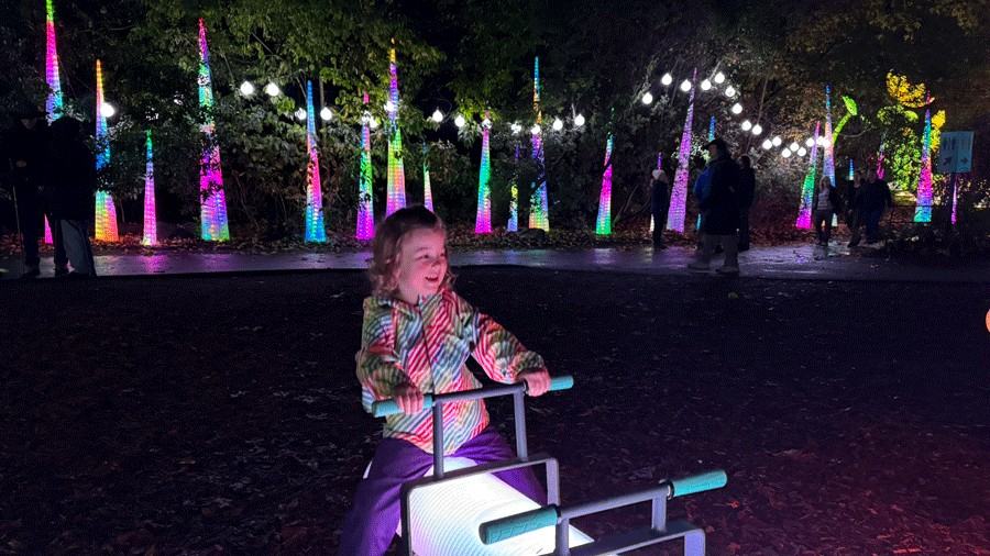 child on a colorful see-saw at WildLanterns