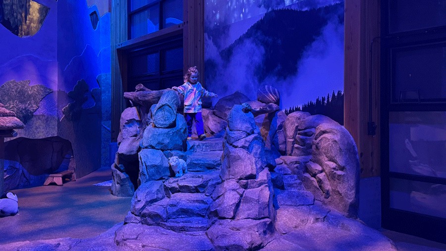 kid playing at Zoomazium during WildLanterns