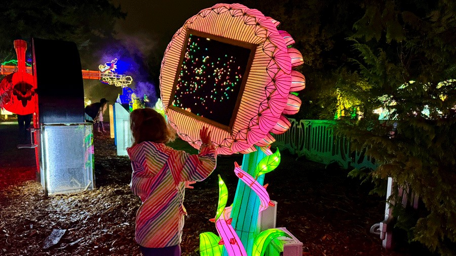 child turning an interactive lantern at Woodland Park Zoo during WildLanterns
