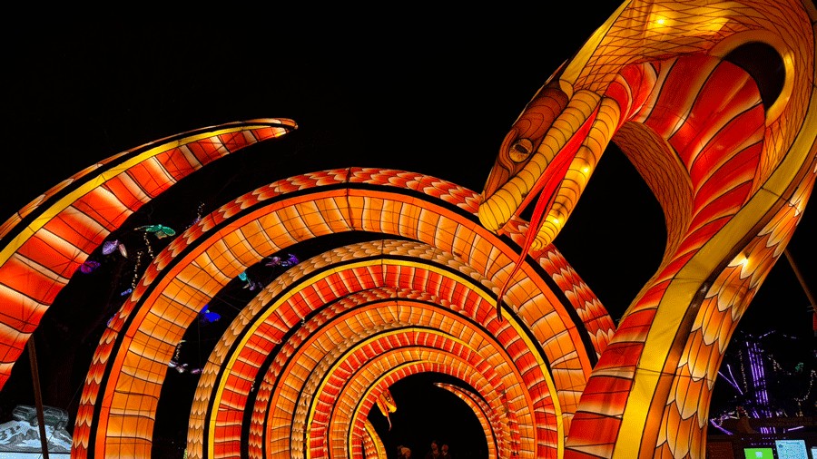 cobra tunnel at woodland park zoo