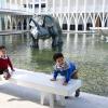 Pacific-science-center-dinosaurs-best-spots-seattle-kids-who-love-dinosaurs