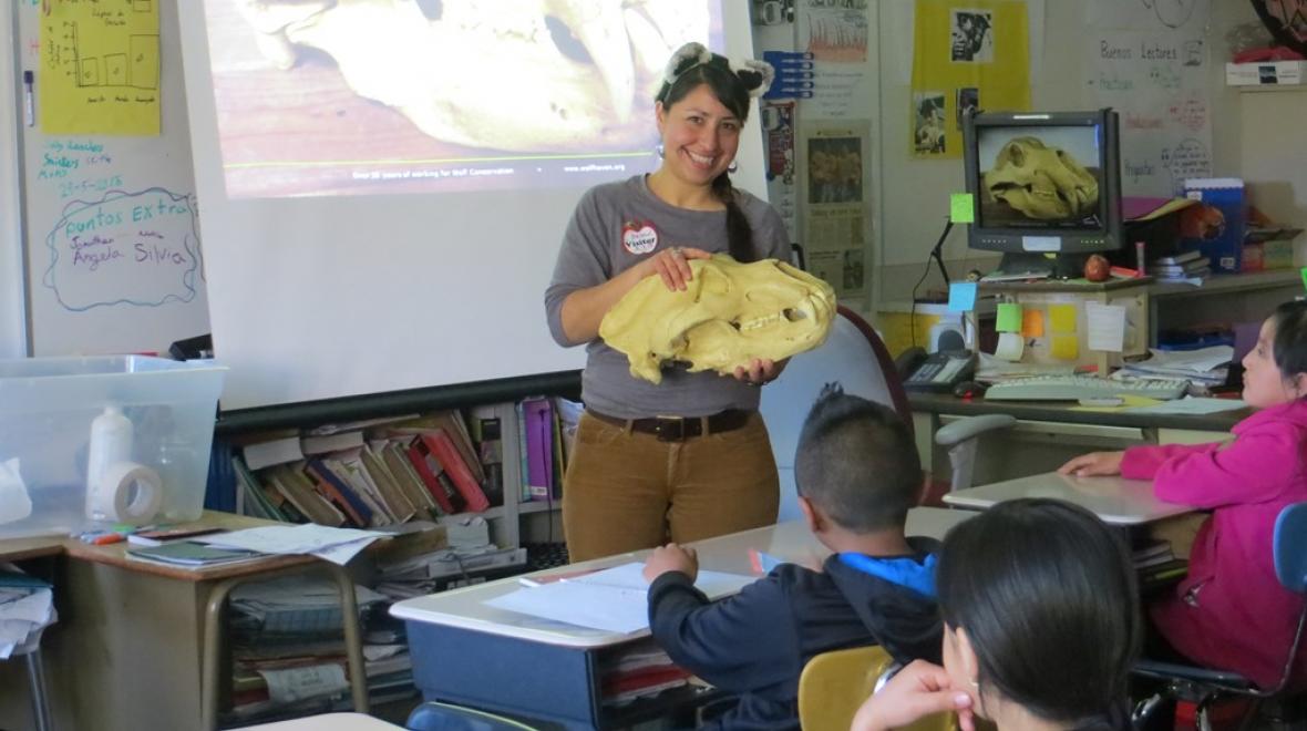 Wolf Haven’s talented educational staff travels around Washington state, and into Arizona, California and Oregon to give their hands-on science based presentations to groups of children and adults. Photo: Wolf Haven International