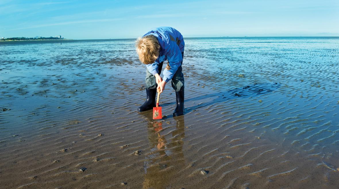 boy digging for clams