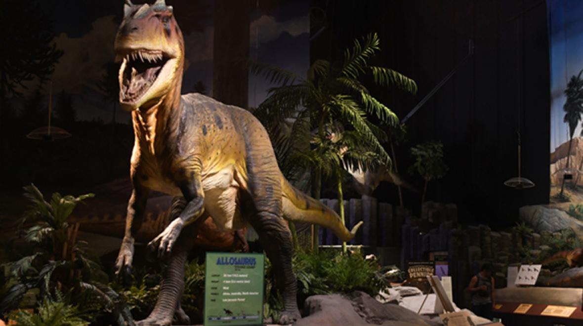 pacific-science-center-the-new-seattle-best-spots-for-dino-loving-kids-seattle