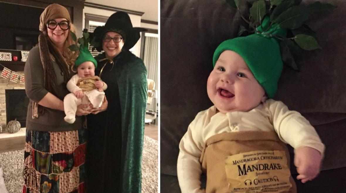 Harry Potter: two professors and a baby Mandrake