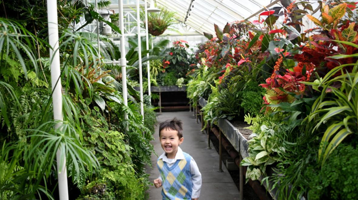 volunteer park conservatory kid in fern house