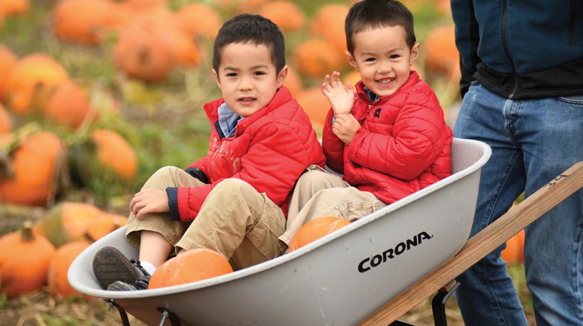 two boys in a wheelbarrow with pumpkins