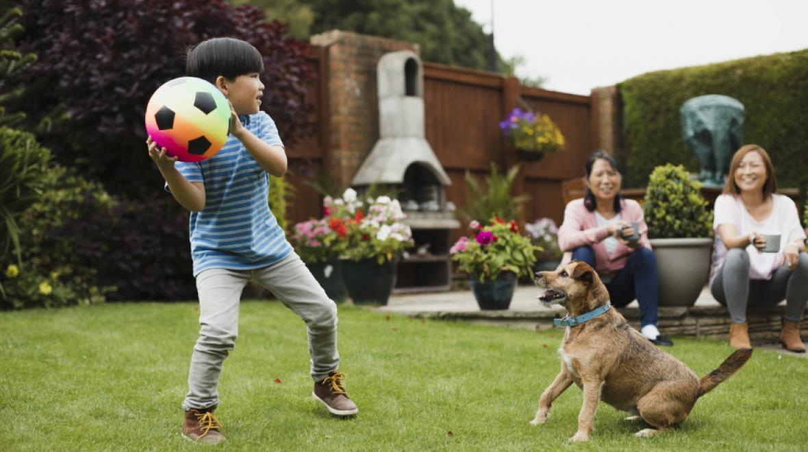 kid-playing-with-dog