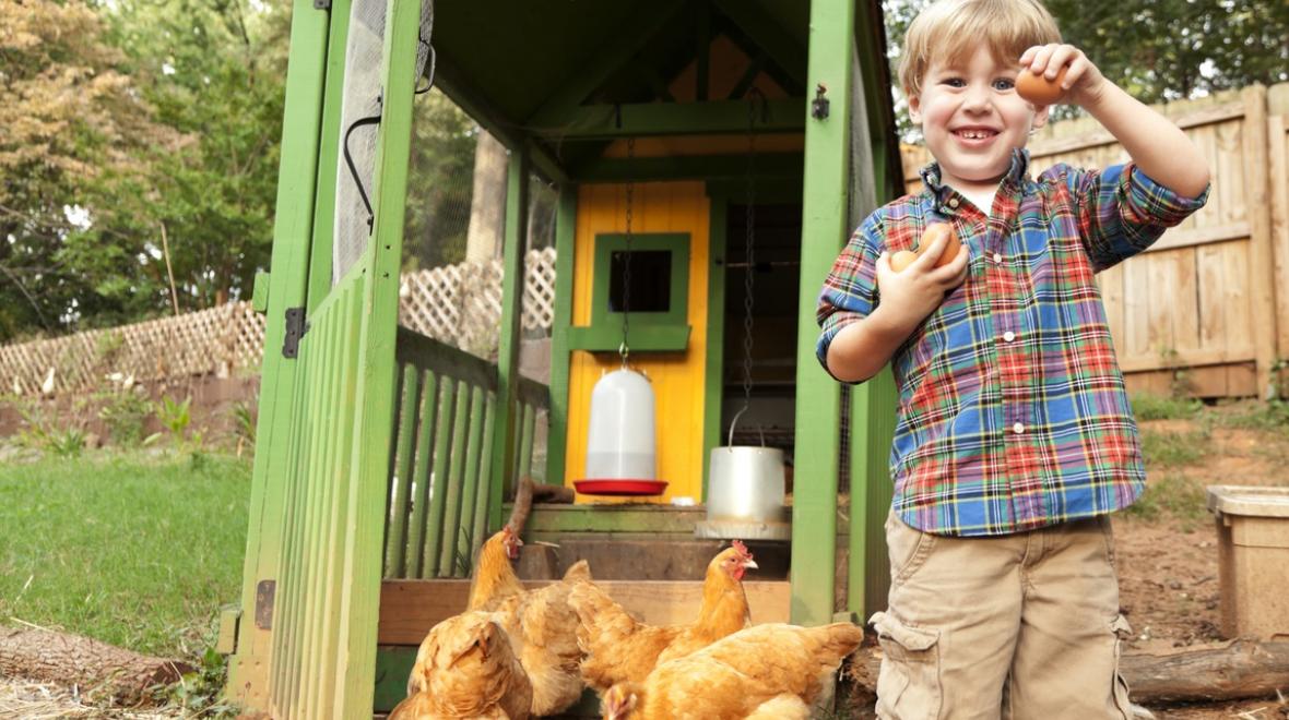 boy with hens and egg in front of chicken coop in yard