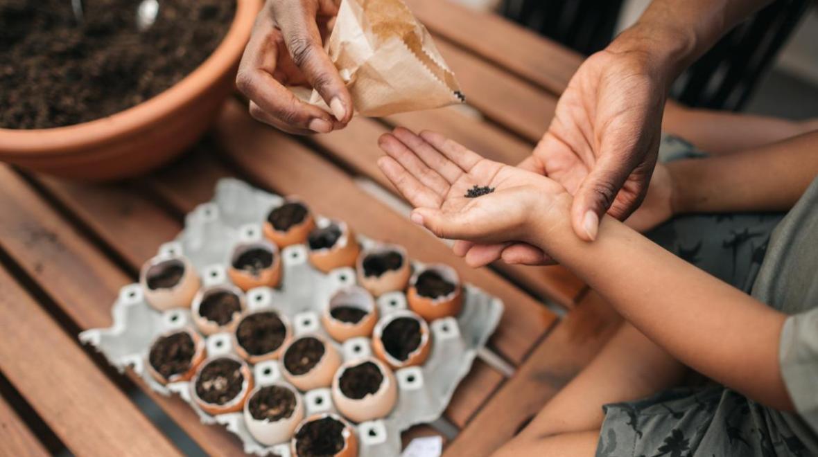 parent and kids planting seeds in eggshell planters