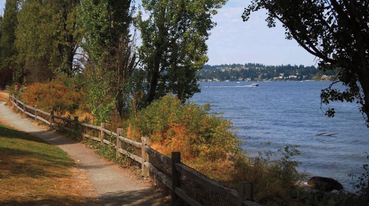 luther burbank park view of a waterside path