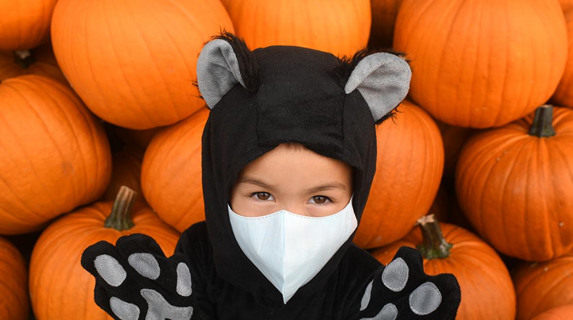 boy in a cat costume in front of pumpkins