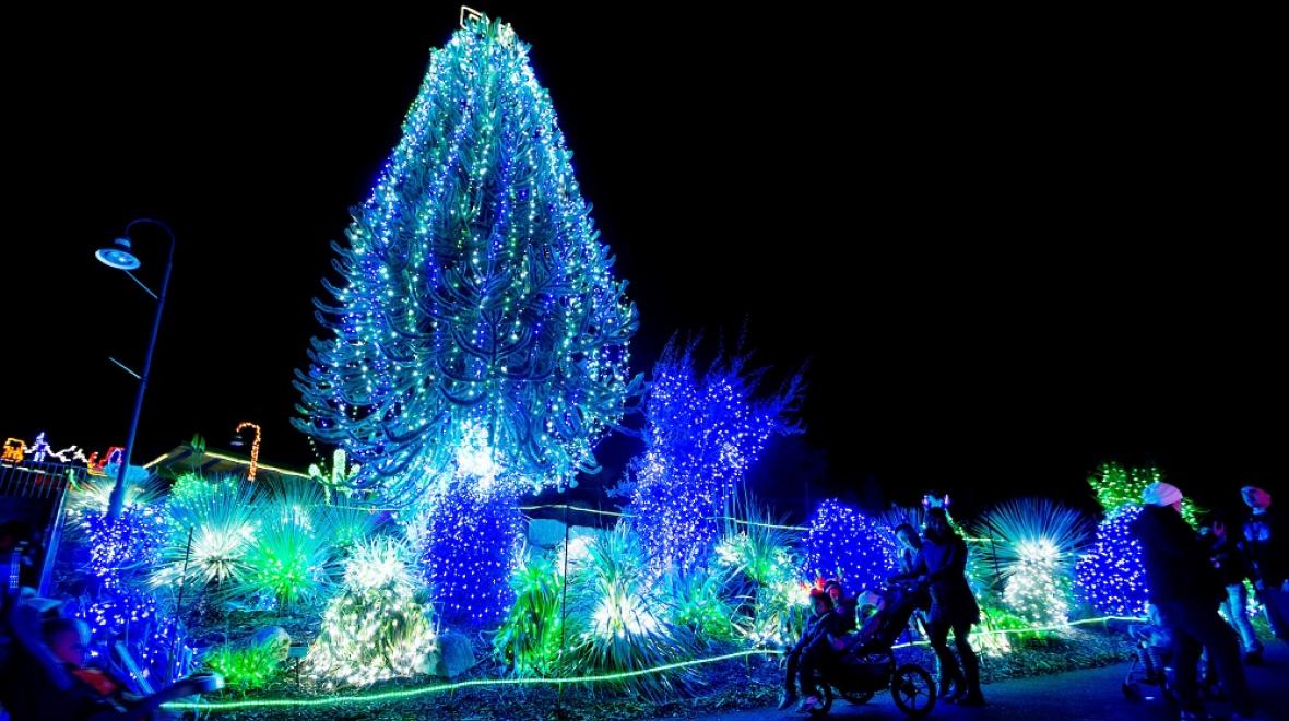 Zoolights display at Point Defiance Zoo & Aquarium in Tacoma best holiday light displays