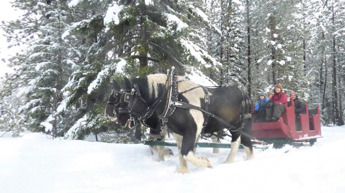 Three Peaks Outfitters horse-drawn sleigh ride Cle Elum Washington holiday outings for seattle area familes