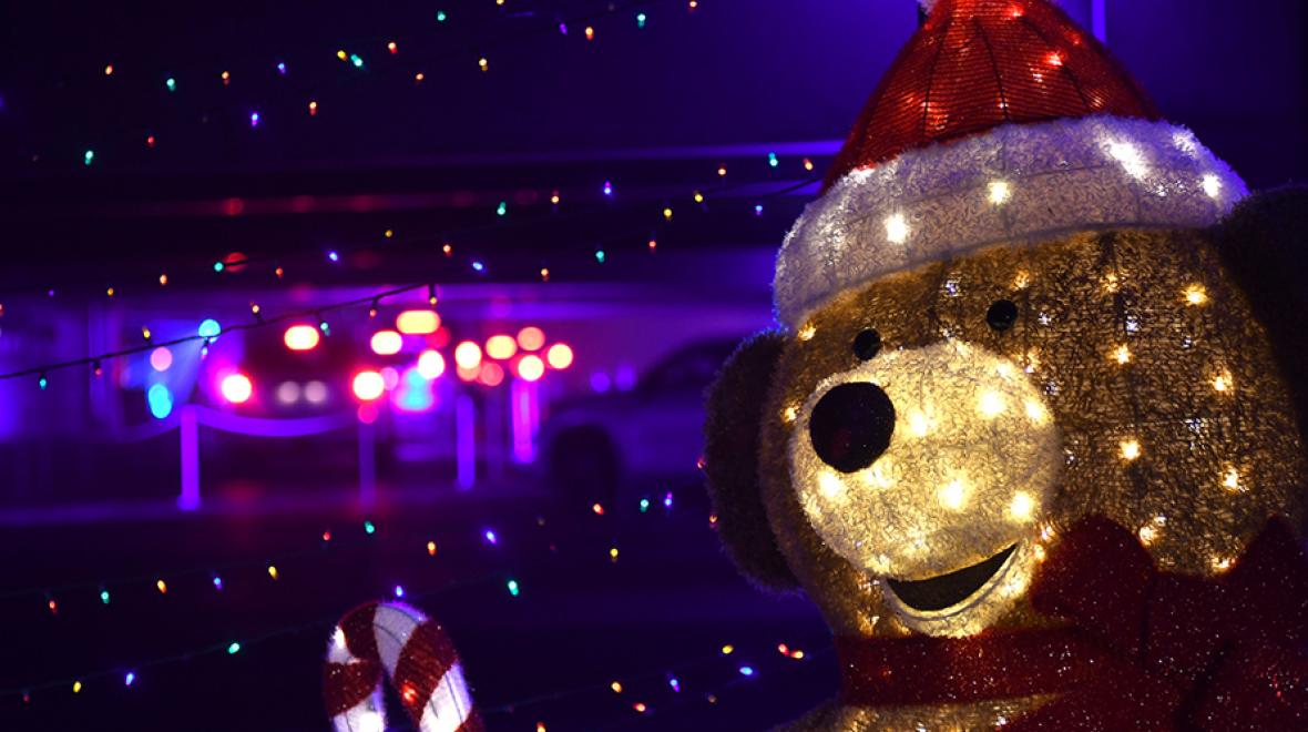lit-up bear at starlight lane holiday show