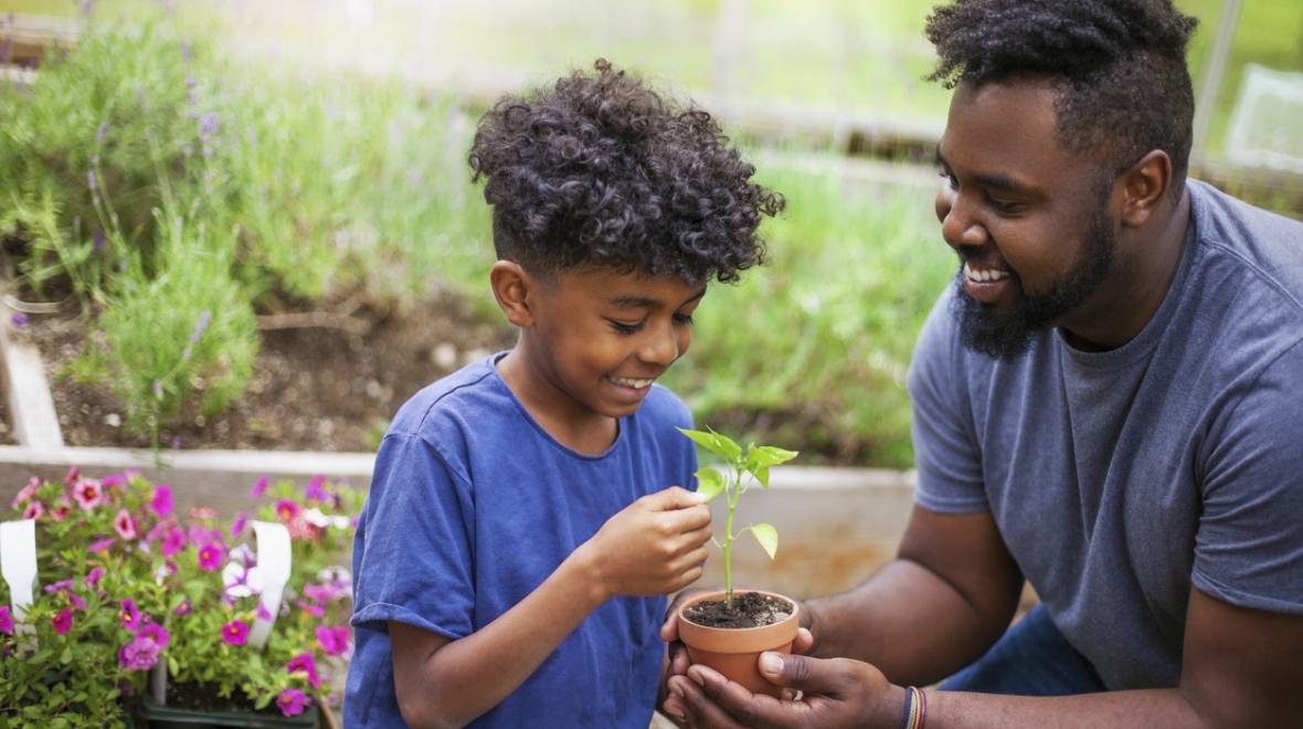 black father and son in the garden crouched over a flower pot