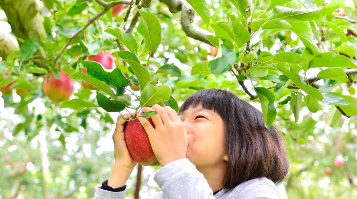 girl happily smelling an apple that's still on the tree
