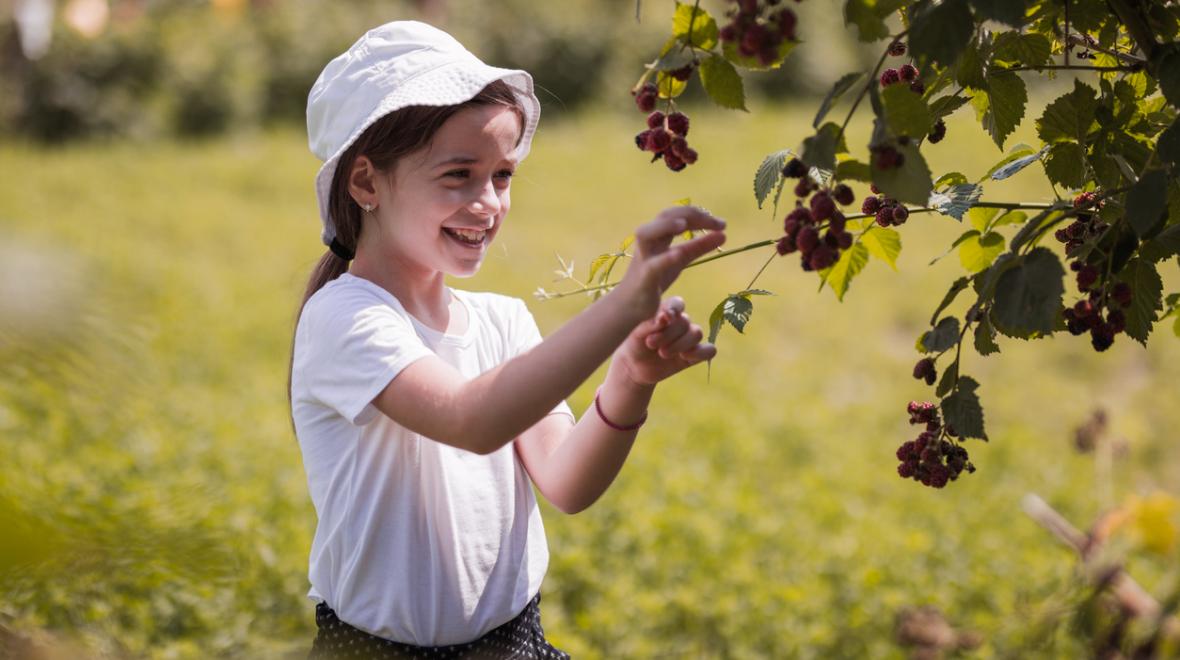 Child picking blackberries and smiling