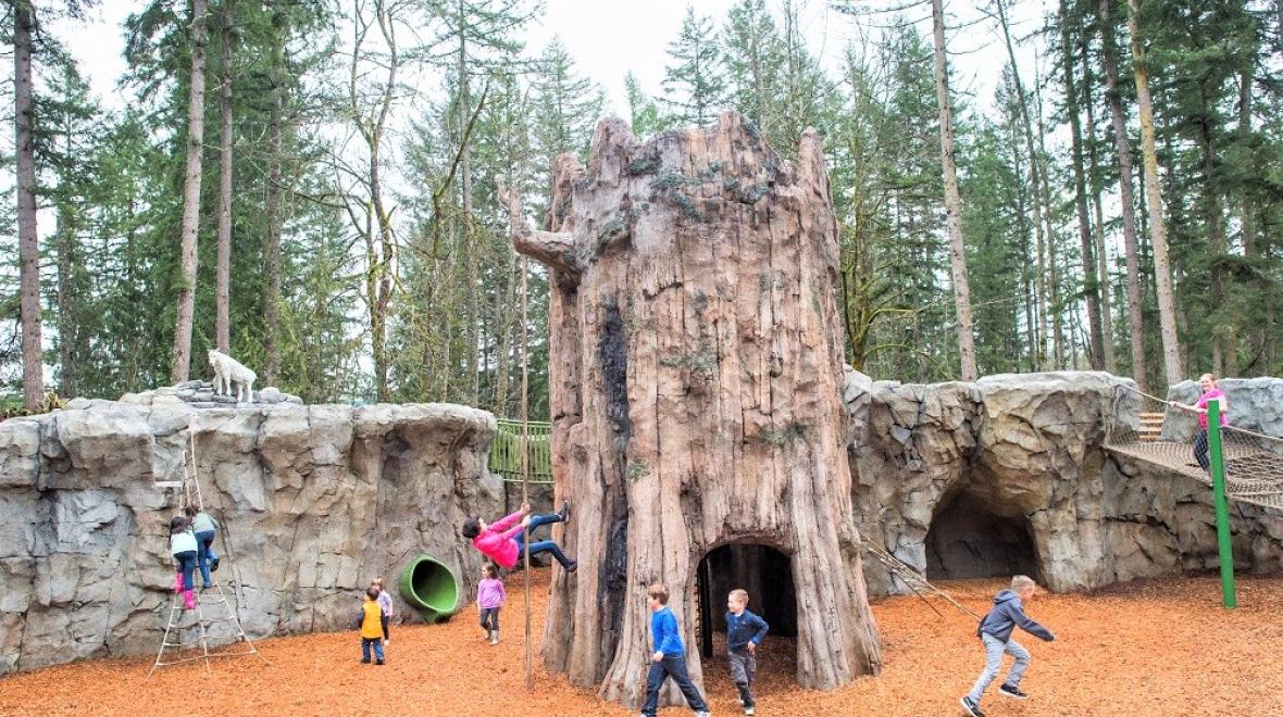View of center tree of Northwest Trek Wildlife Park's Kids' Trek playground in Eatonville, Washington, near Seattle