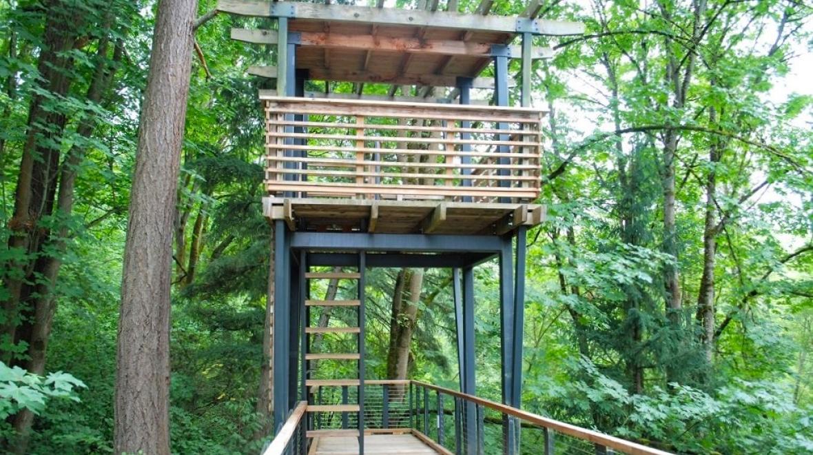 Lookout-tower-tree-house- Mercer-Slough-Environmental-Education-Center
