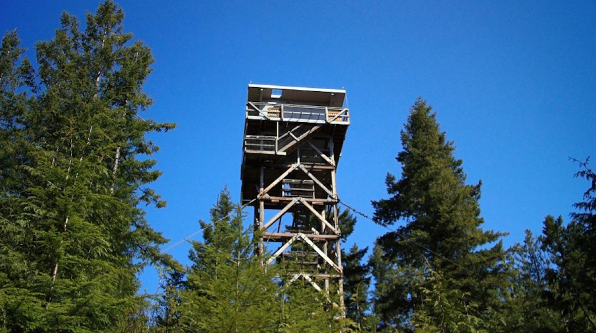 Heybrook Lookout Tower. Photo credit