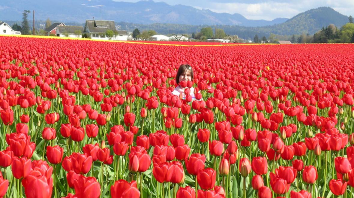 girl sitting in Skagit Valley Tulips during spring break