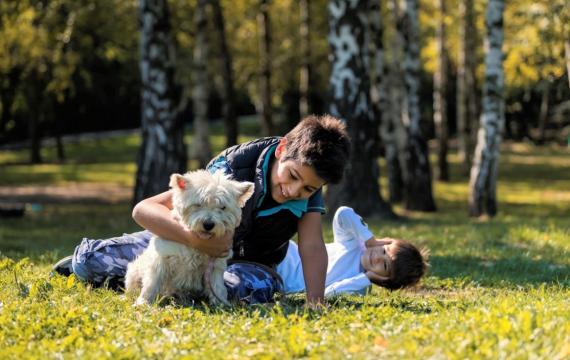 Boys-with-dog-in-park-spring-best-seattle-weekend-events-activities-familis-kids-bellevue-tacoma-eastside