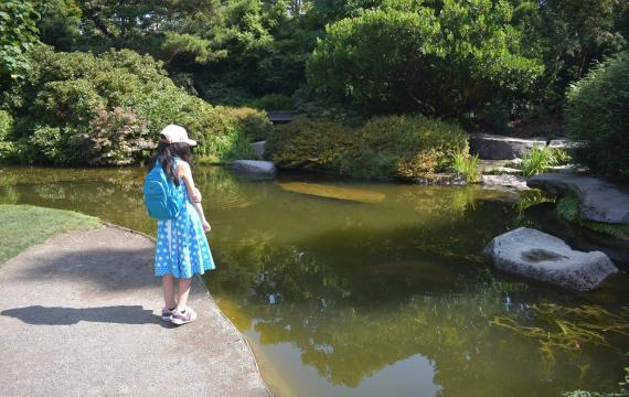 Girl-looking-at-pond-kubota-garden-peaceful-outdoor-seattle-places-to-go-with-kids-during-coronavirus