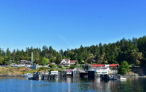 Orcas Island ferry dock San Juan Islands for kids and families
