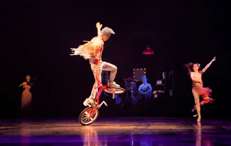 Cirque du Soleil's "Volta"