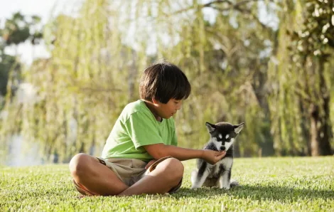 Kid with dog
