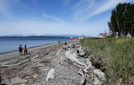 Discovery Park beach scene people walking best things to do with kids
