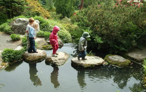 Kids crossing a pond on stones, wearing jackets, at Kubota Garden Seattle urban garden city park
