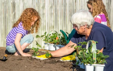 Grandparent-and-kids-planting-strawberries