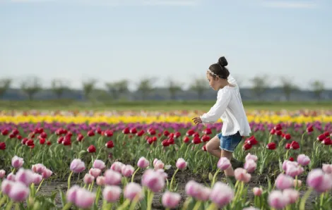 girl frolicking in tulip fields