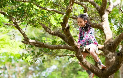 Young-Asian-girl-climbing-a-tree