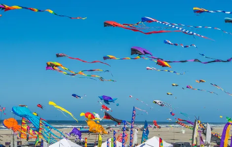 2023 Washington State International Kite Festival: Kites on a blue sky day at the beach