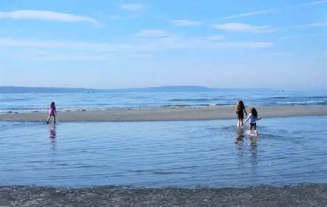 Free things to do in Seattle with kids include low-tide beach exploration at Carkeek Park and other beaches