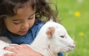 Young girl holding a lamb is one of the family activities in Seattle in April