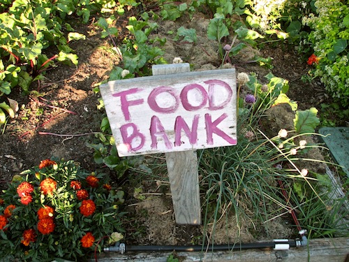 Giving garden for food bank donation