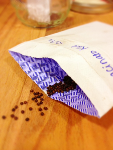 Storing kale seeds in a salvaged envelope