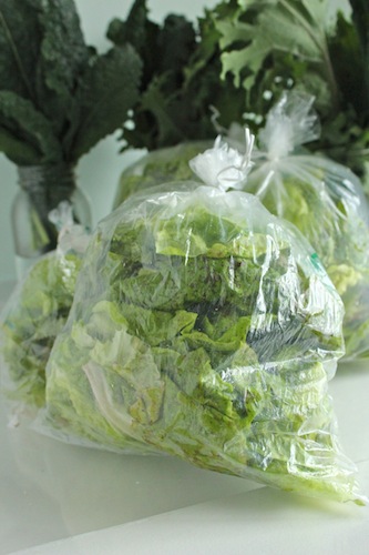 Lettuce grown for food bank donation