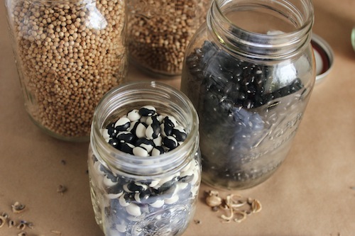 Seeds store well in jars
